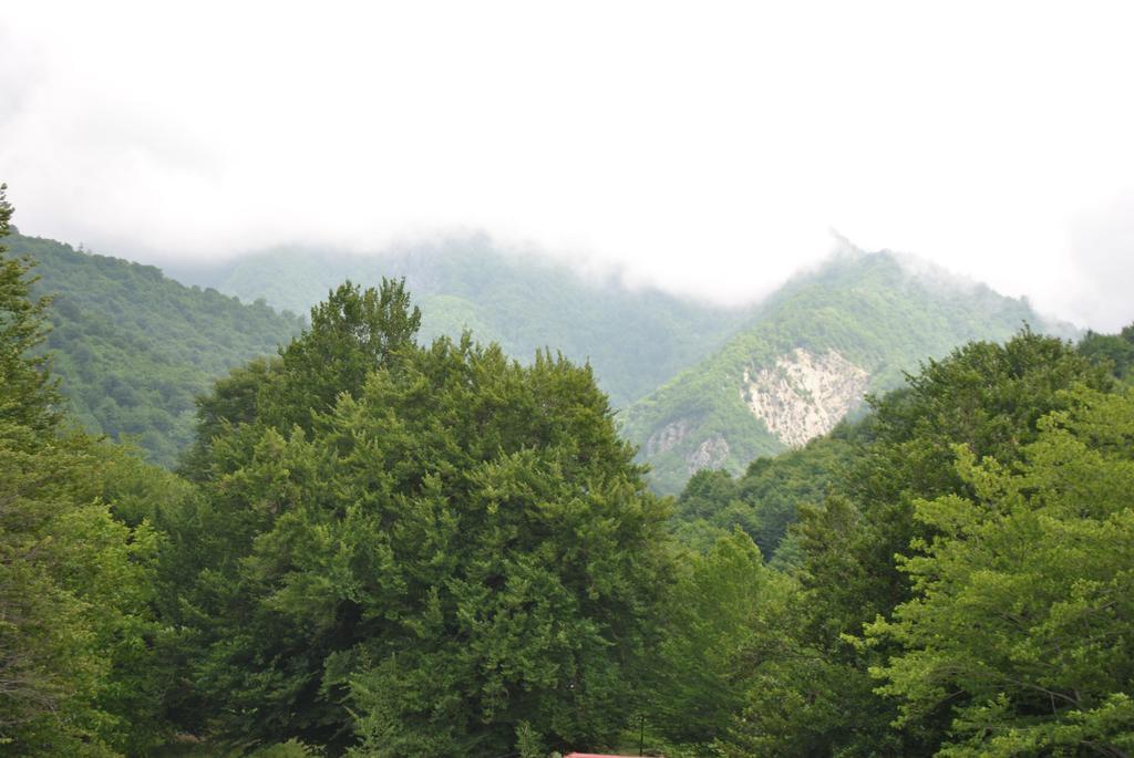 Talistan Forest Park 호텔 외부 사진