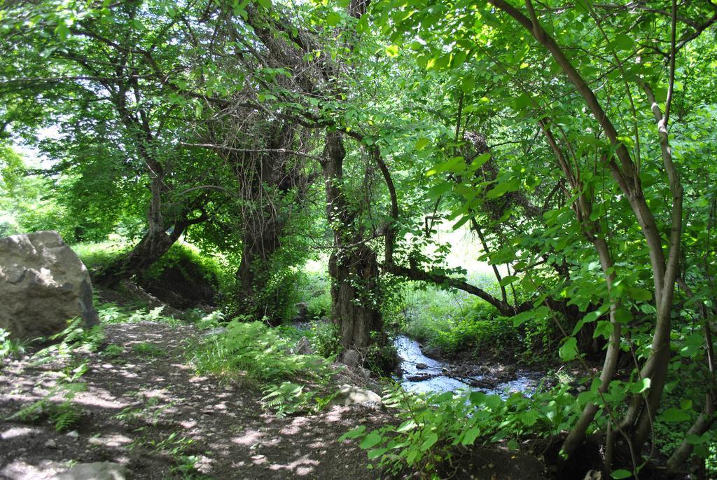 Talistan Forest Park 호텔 외부 사진